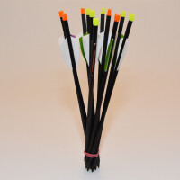 AS Armbrust Bolzen mit wechselbarer Spitze - 9.5 Zoll