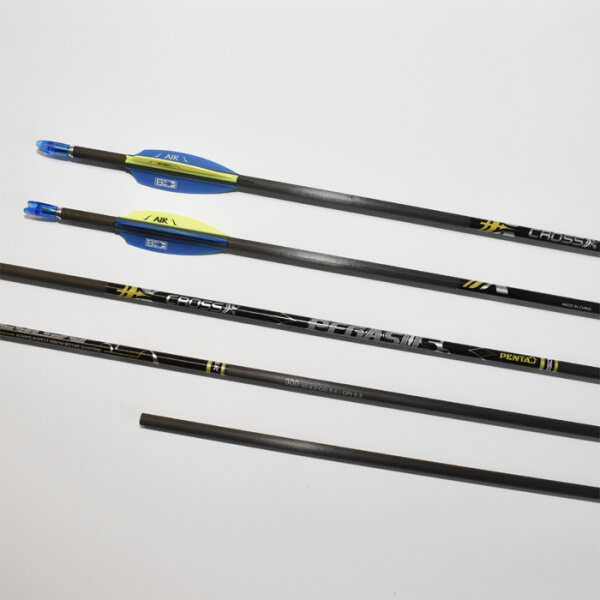 Cross-X, 6 Pfeile - Pegasus Penta -  900 (  mit Plastikvanes, ohne Spitze )