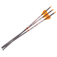 Ravin, .001 Premium Match-Grade Lighted Arrows #R134 -...