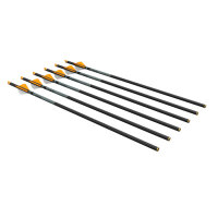 Ravin .003 R500 Series Arrows #R120 - 6er Pack