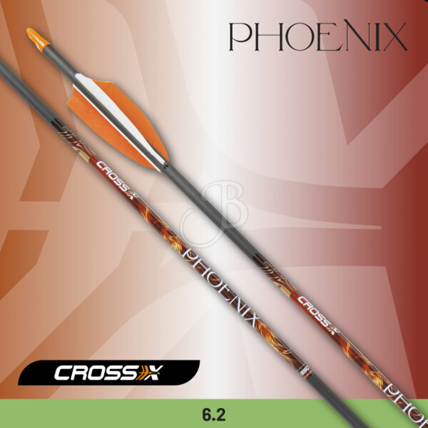 Cross-X, 6 Pfeile - Phoenix mit Naturfedern - 600