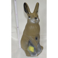 3D international, 3D Ziel - Hase