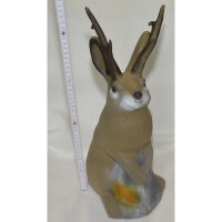 3D international, 3D Ziel - gehörnter Hase
