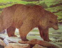 Tierbild Bär, 110 x 96 cm