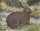 Tierbild Kaninchen, 40 x 33 cm