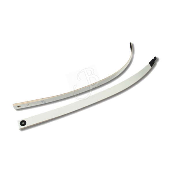 Ragim - Wildcat Wurfarme - H24 - 66 Zoll - 14 LBS